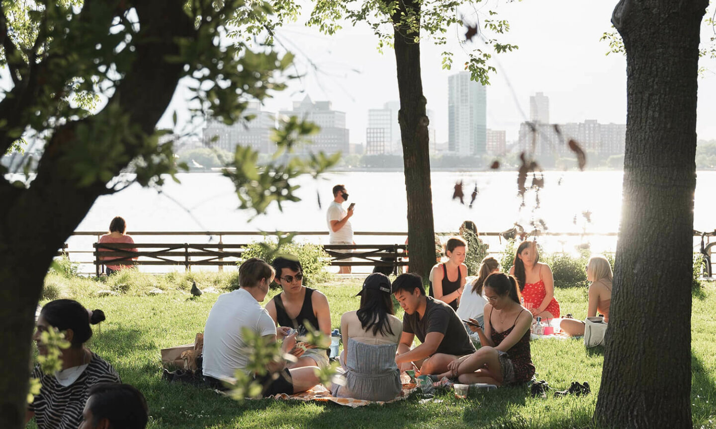Land Group WA community picnic with families